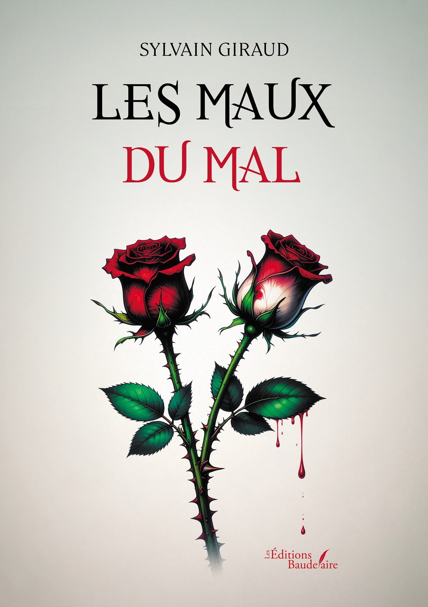 Les maux du mal (9791020390004-front-cover)