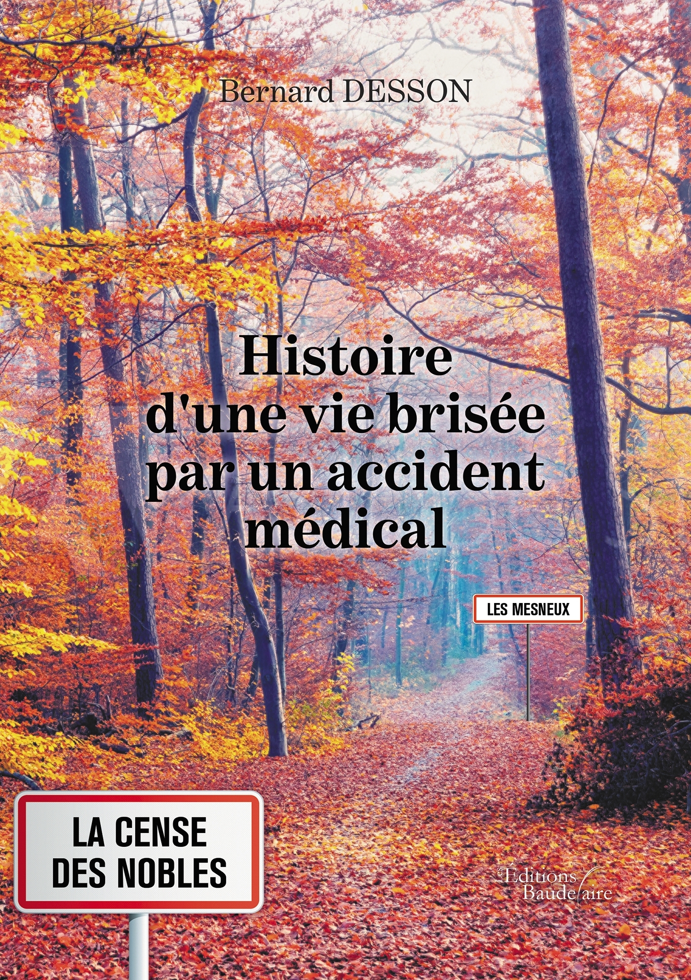 Histoire d'une vie brisée par un accident médical (9791020343581-front-cover)