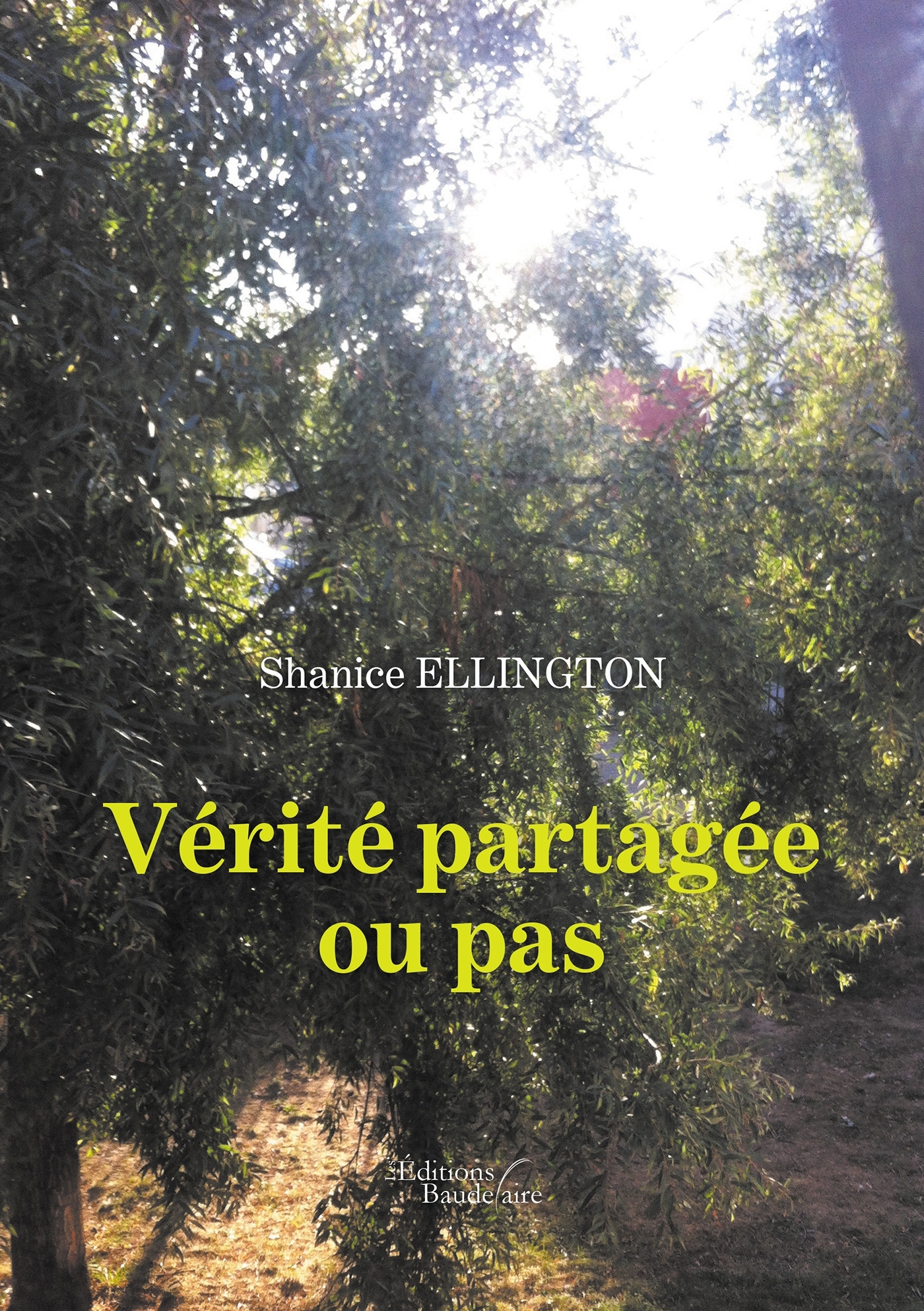 Vérité partagée ou pas (9791020315762-front-cover)