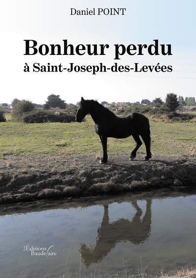 Bonheur perdu à Saint-Joseph-des-Levées (9791020324573-front-cover)