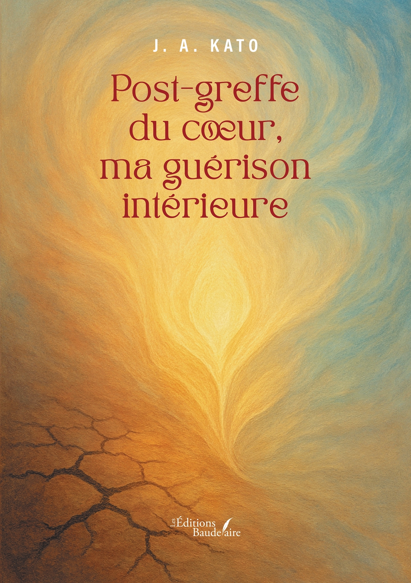 Post-greffe du coeur, ma guérison intérieure (9791020390608-front-cover)