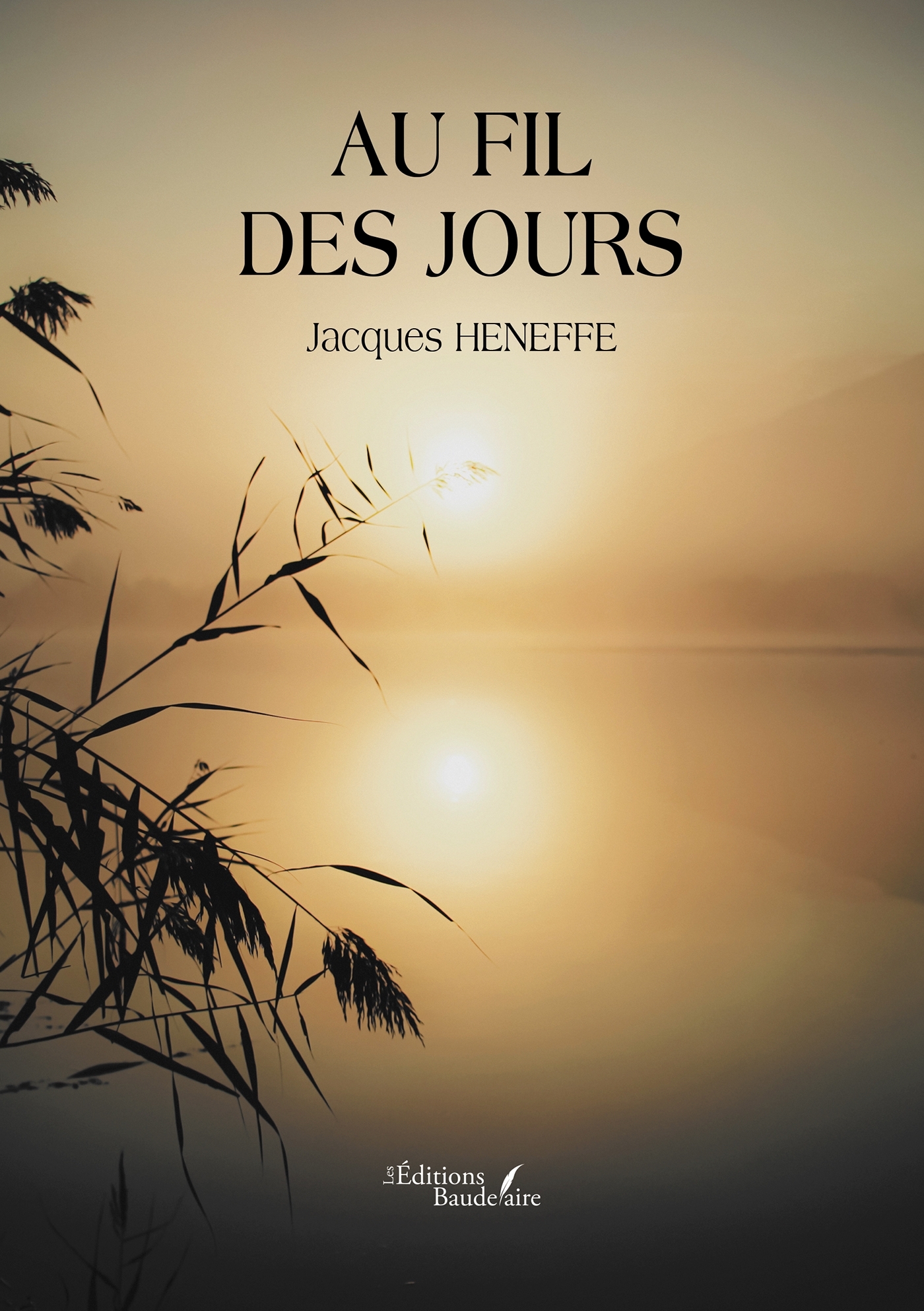 Au fil des jours (9791020350497-front-cover)