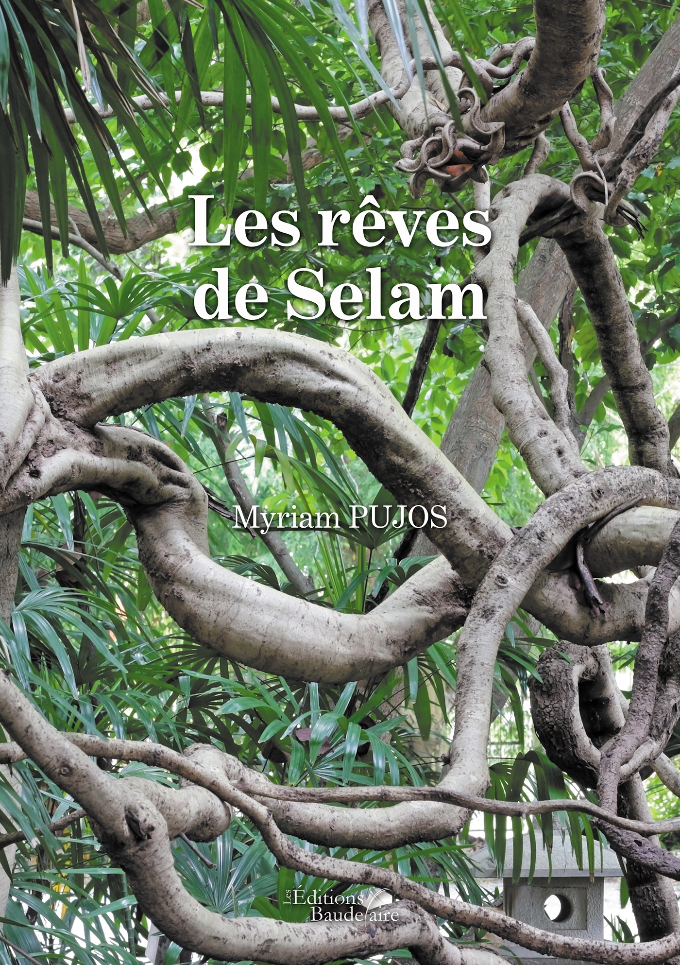 Les rêves de Selam (9791020342805-front-cover)