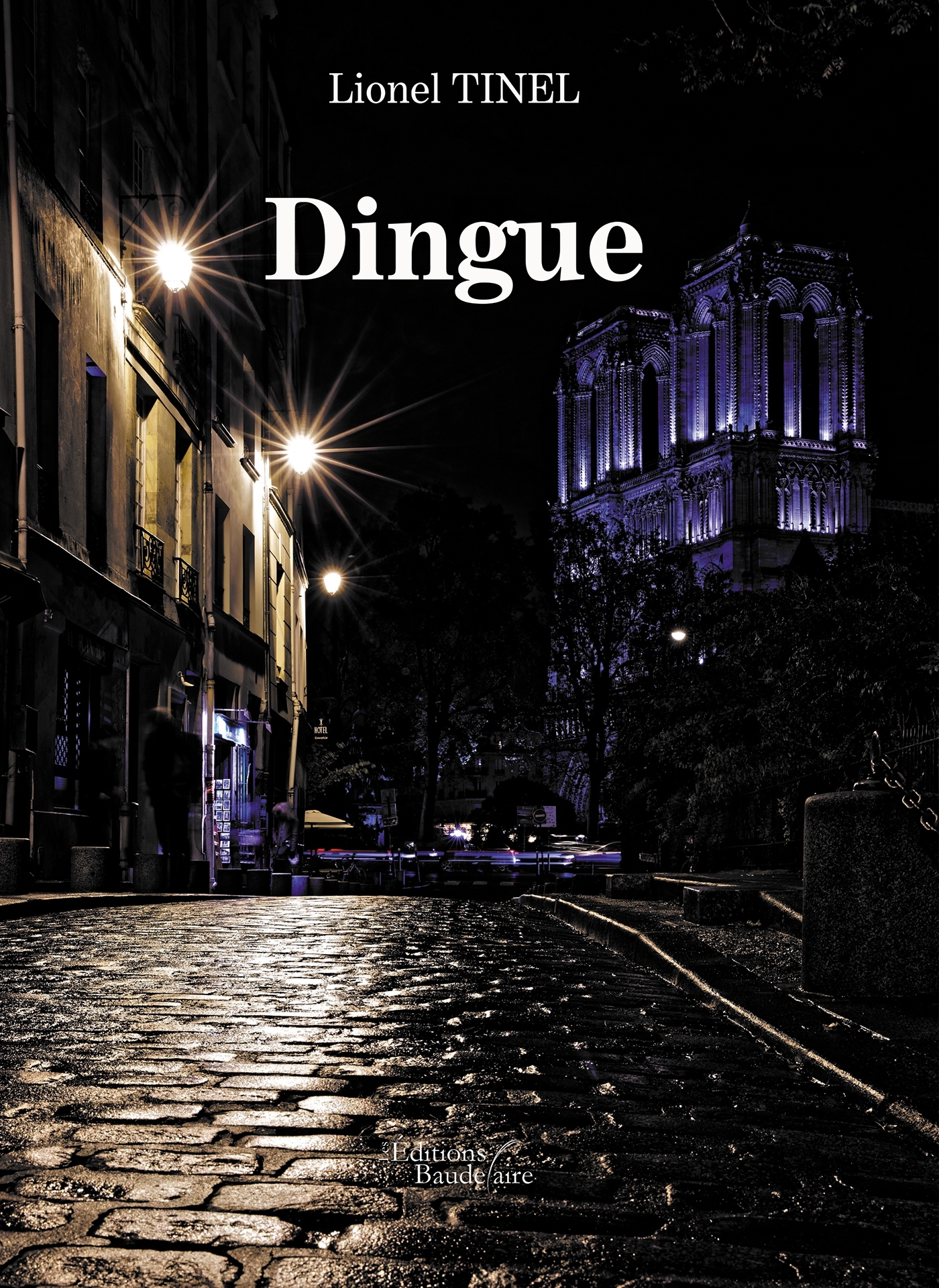 Dingue (9791020338204-front-cover)