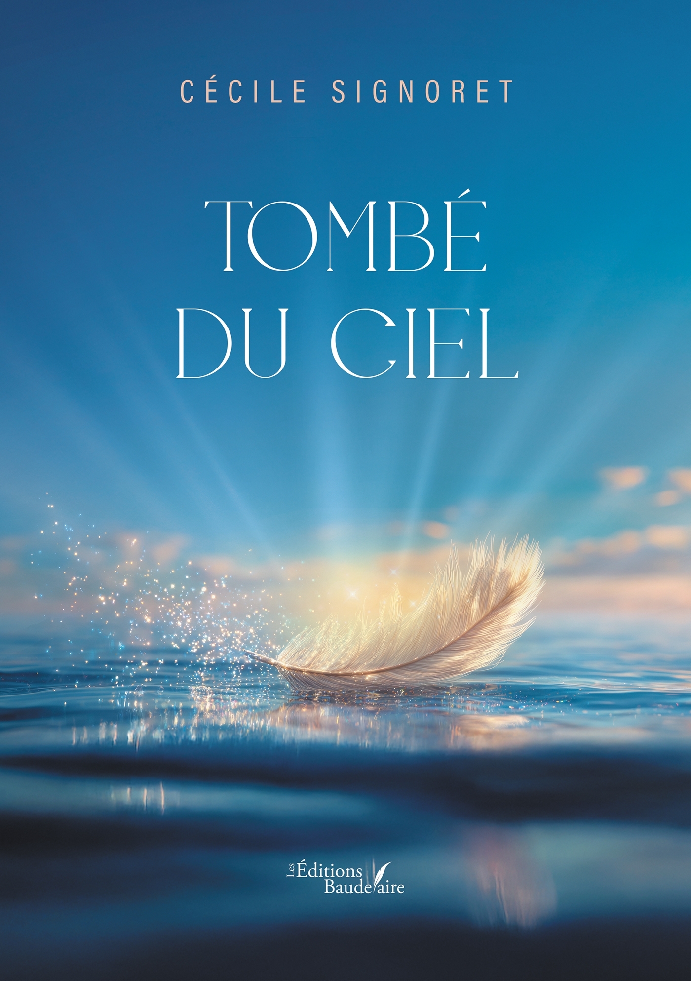 Tombé du ciel (9791020388568-front-cover)