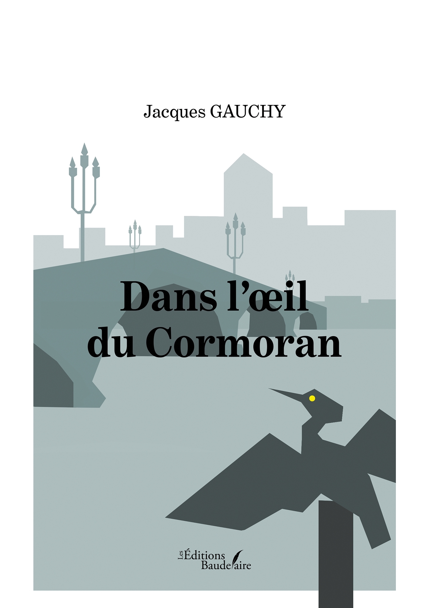 Dans l'oeil du Cormoran (9791020347701-front-cover)