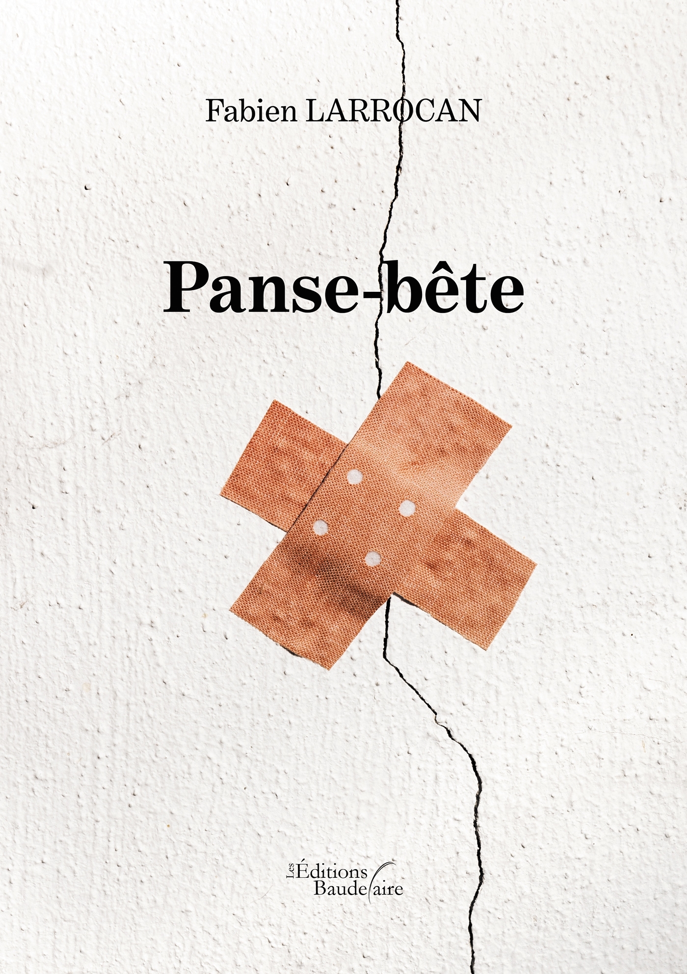 Panse-bête (9791020341297-front-cover)