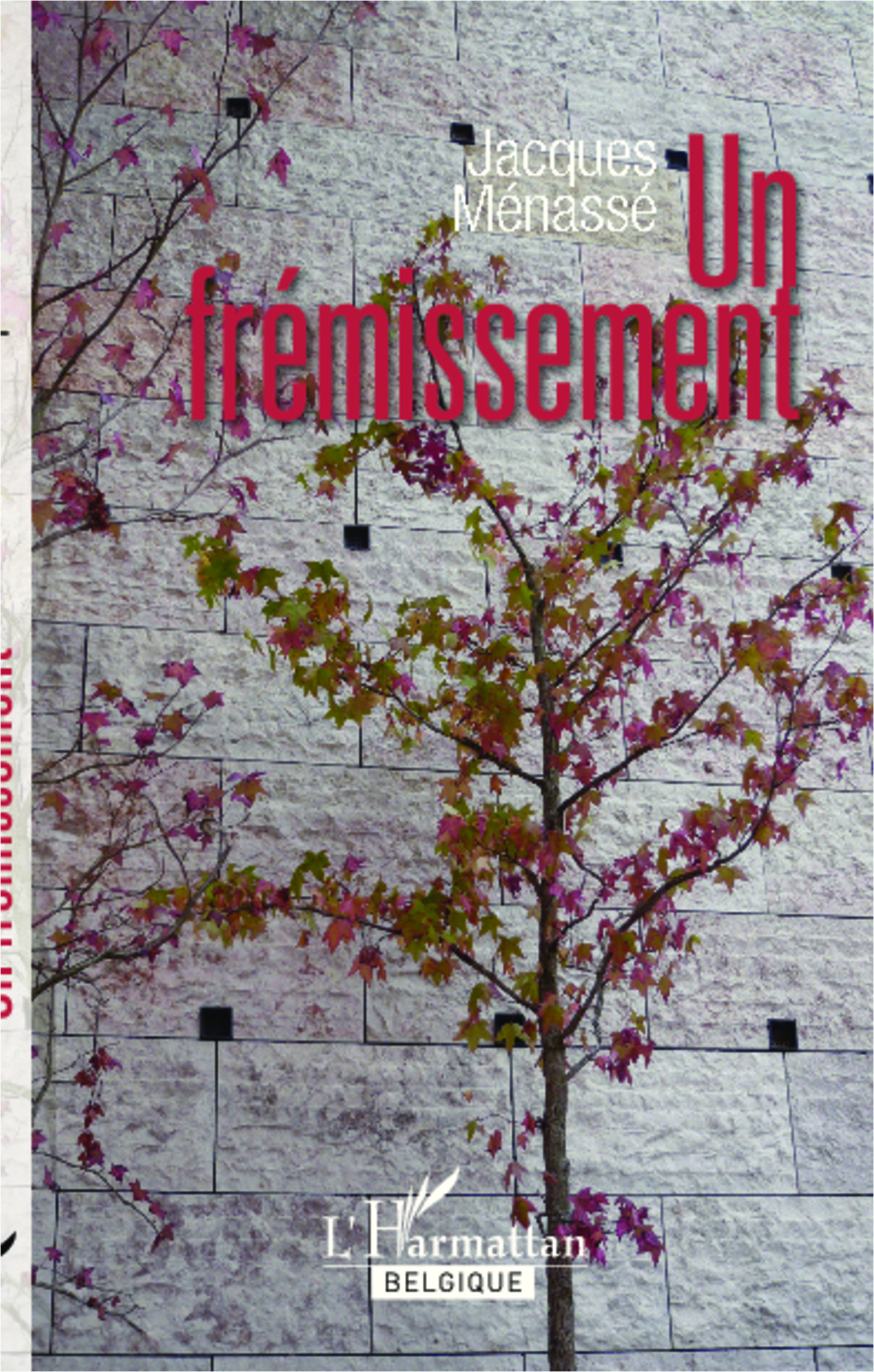 Un frémissement (9782875970077-front-cover)