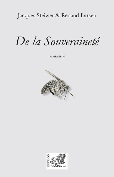 De la Souveraineté (9782875936219-front-cover)