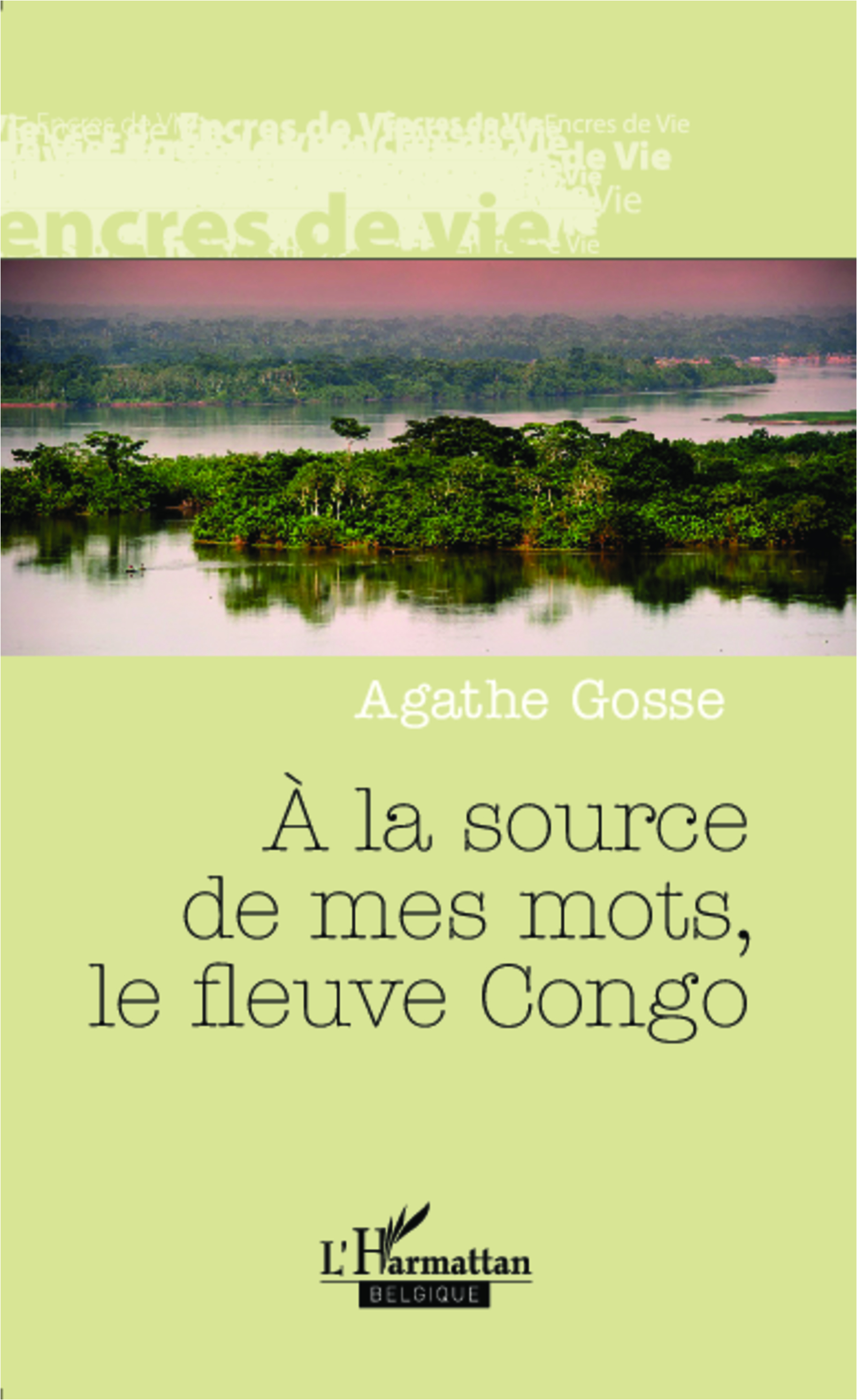 A la source de mes mots, le fleuve Congo (9782875970015-front-cover)