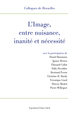 L' Image, entre nuisance, inanité et nécessité, XIIe Colloques de Bruxelles (9782359841633-front-cover)