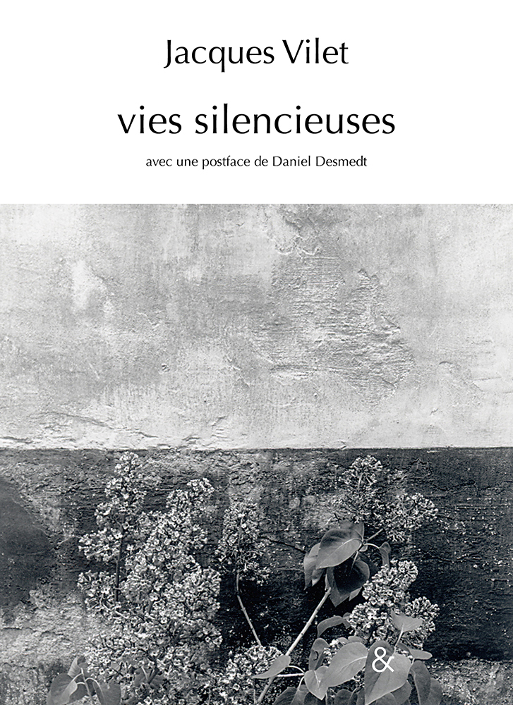 Vies silencieuses (9782359841718-front-cover)
