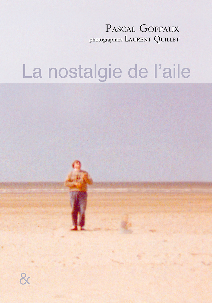 La nostalgie de l'aile (9782359841435-front-cover)