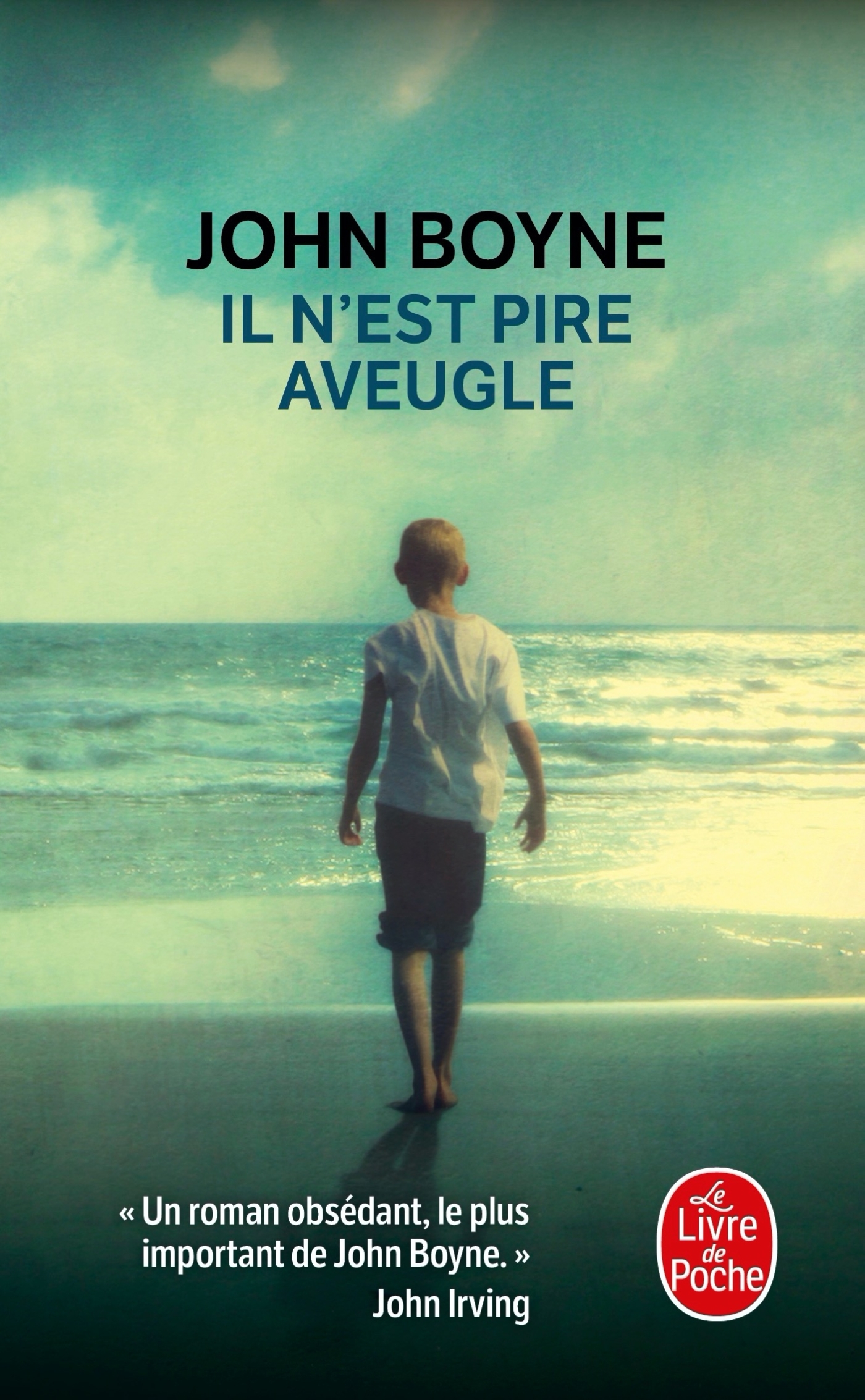 Il n'est pire aveugle (9782253106517-front-cover)