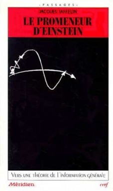 Le promeneur d'Einstein (9782204043205-front-cover)