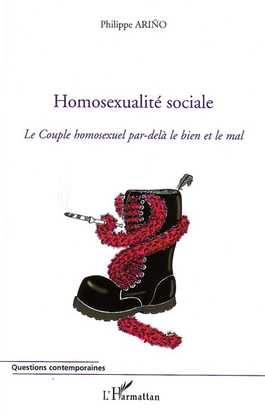 Homosexualité sociale, Le couple homosexuel par-delà le bien et le mal (9782296066670-front-cover)