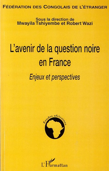 L'avenir de la question noire en France, Enjeux et perspectives (9782296045743-front-cover)