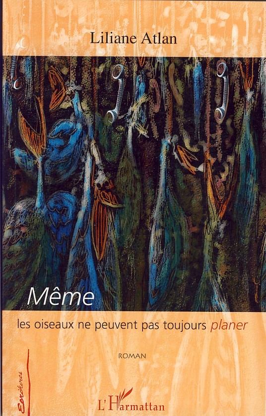 Même les oiseaux ne peuvent pas toujours planer (9782296028715-front-cover)