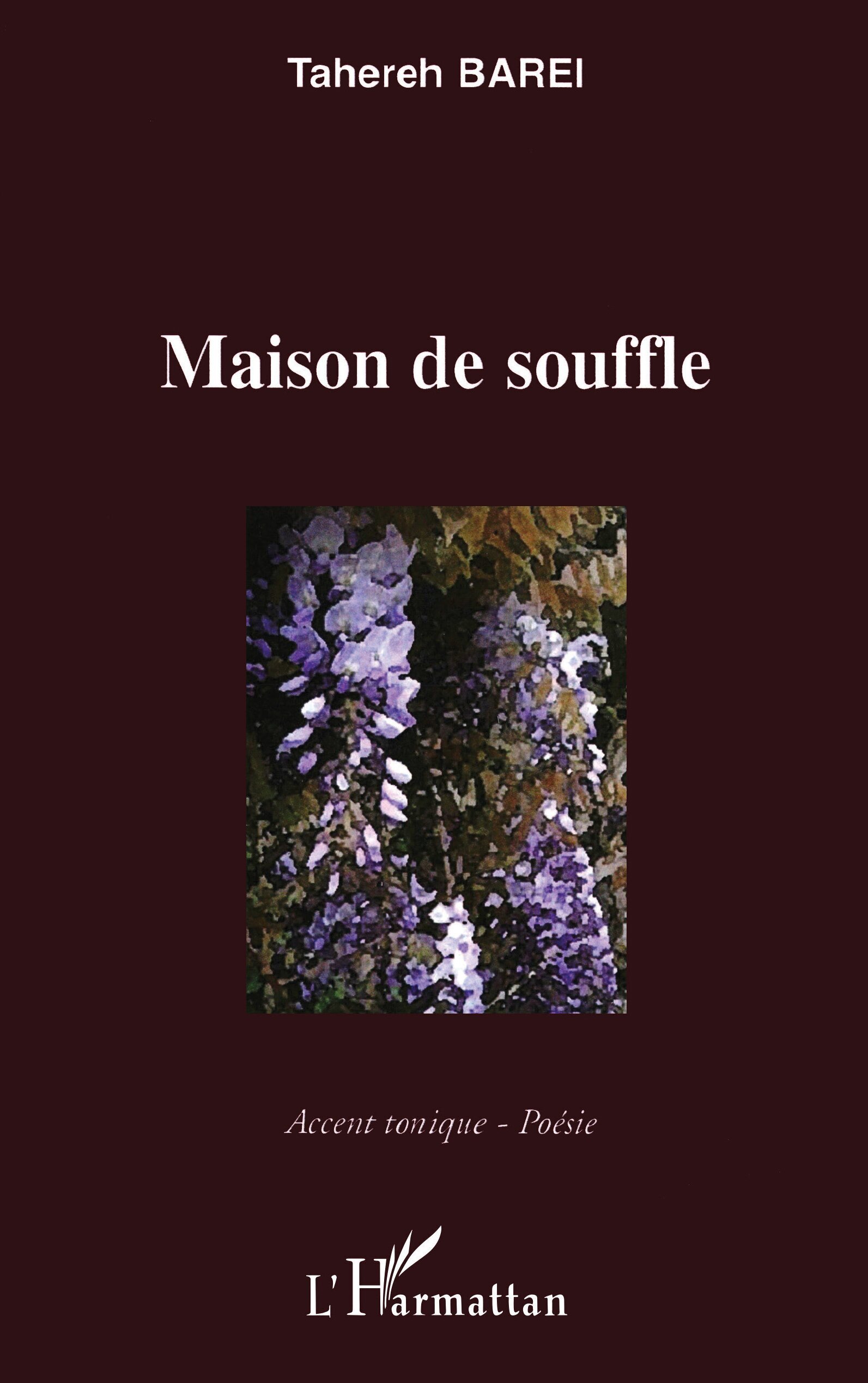 Maison de souffle (9782296094369-front-cover)