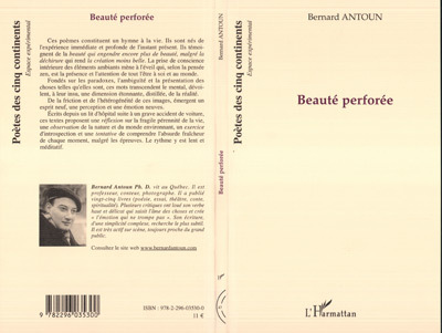 Beauté perforée (9782296035300-front-cover)