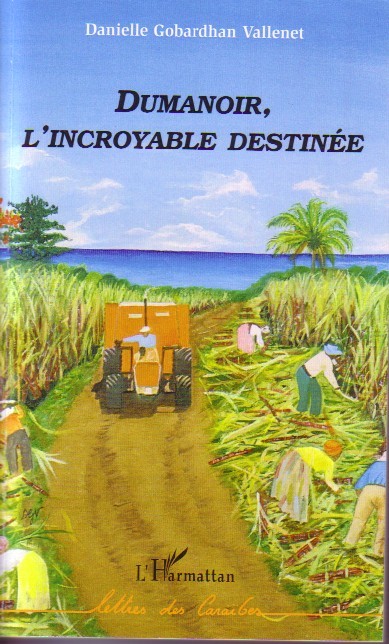 Dumanoir, l'incroyable destinée (9782296016149-front-cover)