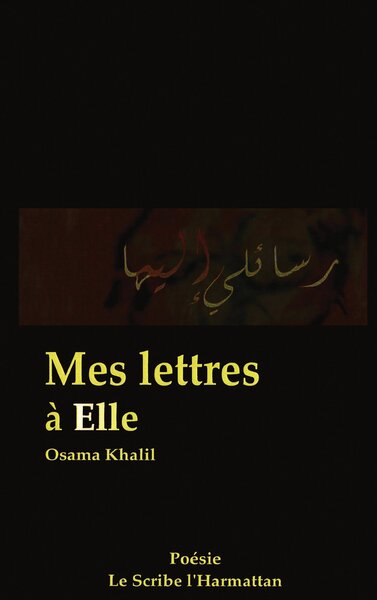 Mes lettres à Elle (9782296043077-front-cover)
