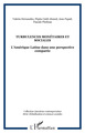 Turbulences monétaires et sociales, L'Amérique Latine dans une perspective comparée (9782296031814-front-cover)