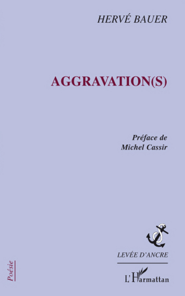 Aggravation(s) (9782296061224-front-cover)
