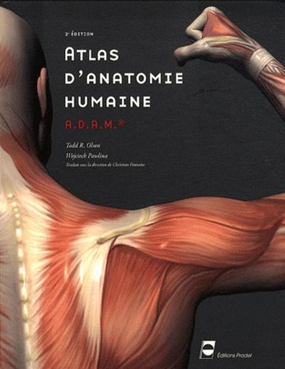 Atlas d'anatomie humaine A.D.A.M. - 2ème édition, PAES - Prmière année des études de santé. (9782913996953-front-cover)