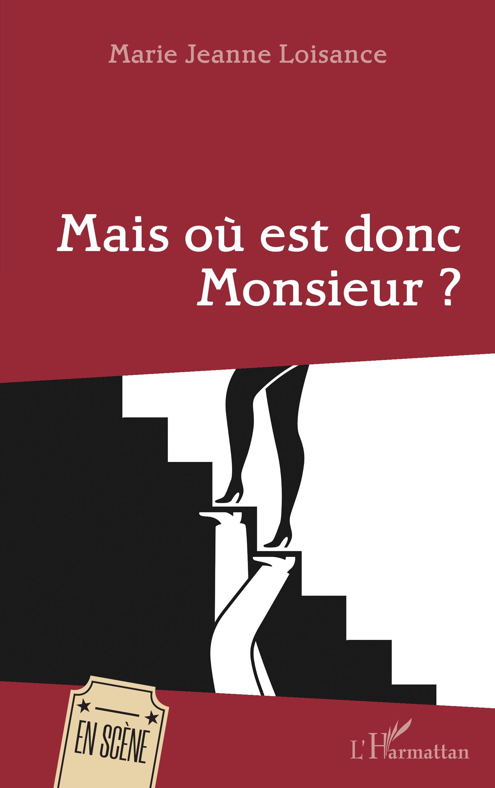 Mais où est donc Monsieur ? (9782343224473-front-cover)