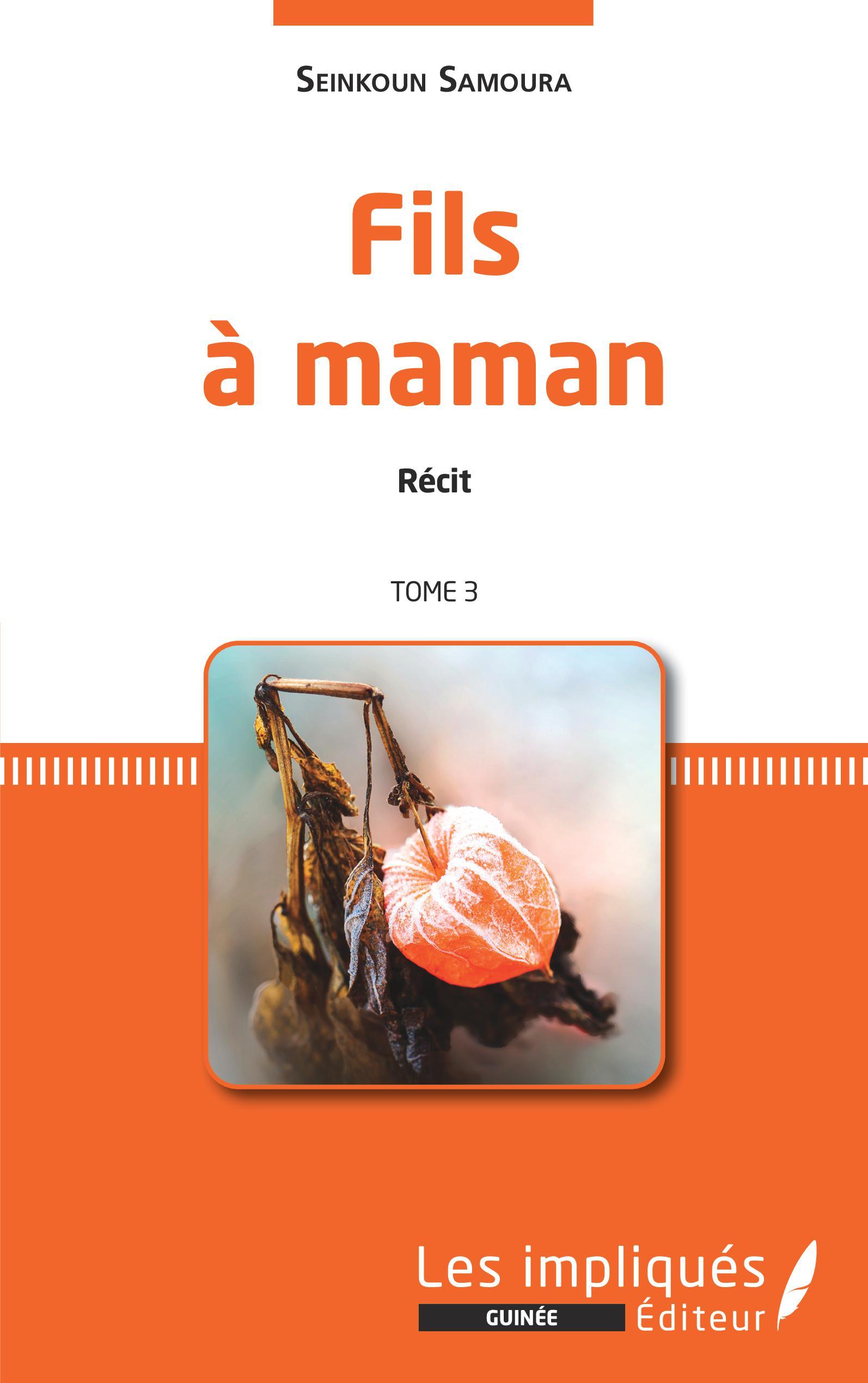 Fils à maman. Récit. Tome 3 (9782343220536-front-cover)