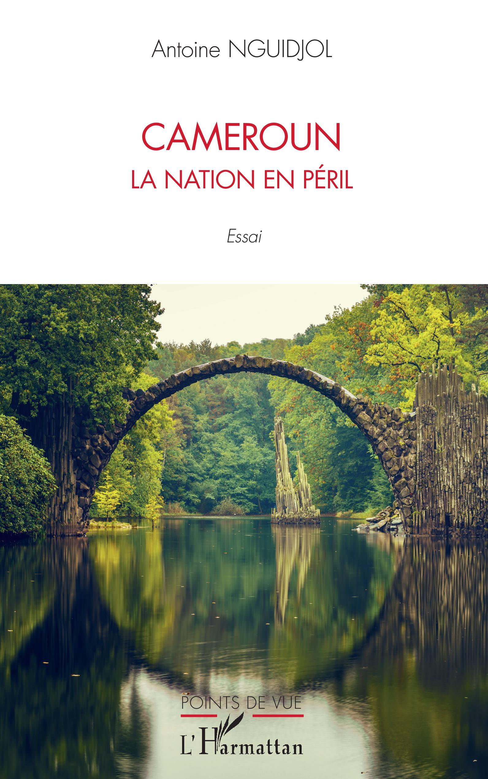 Cameroun la nation en péril, Essai (9782343231112-front-cover)