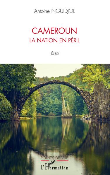 Cameroun la nation en péril, Essai (9782343231112-front-cover)
