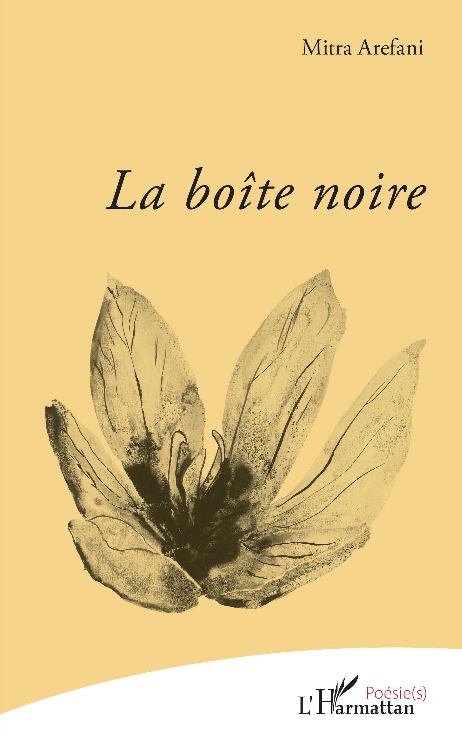 La boîte noire (9782343249230-front-cover)