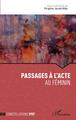 Passage à l'acte, Au féminin (9782343237763-front-cover)