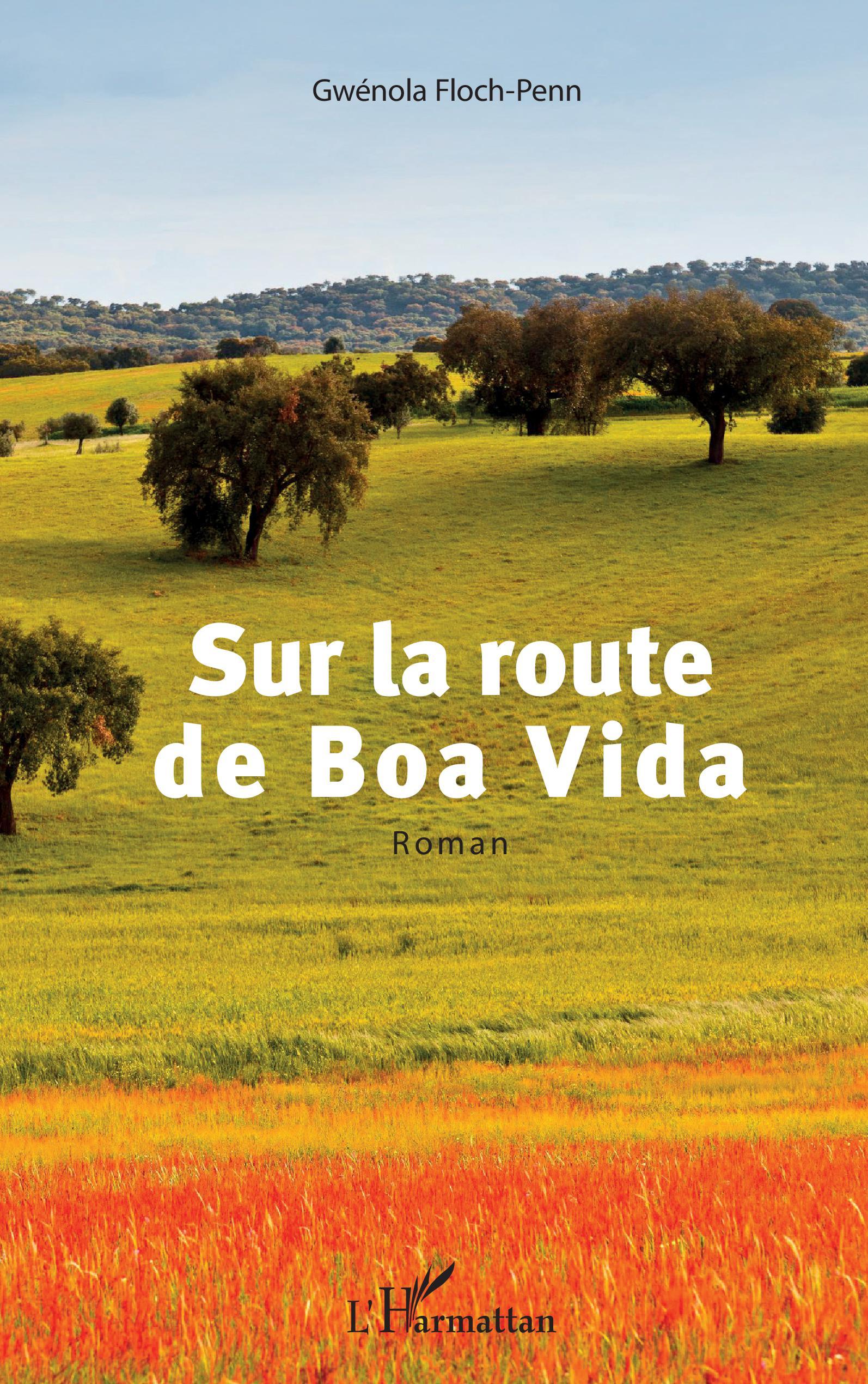 Sur la route de Boa Vida (9782343233024-front-cover)