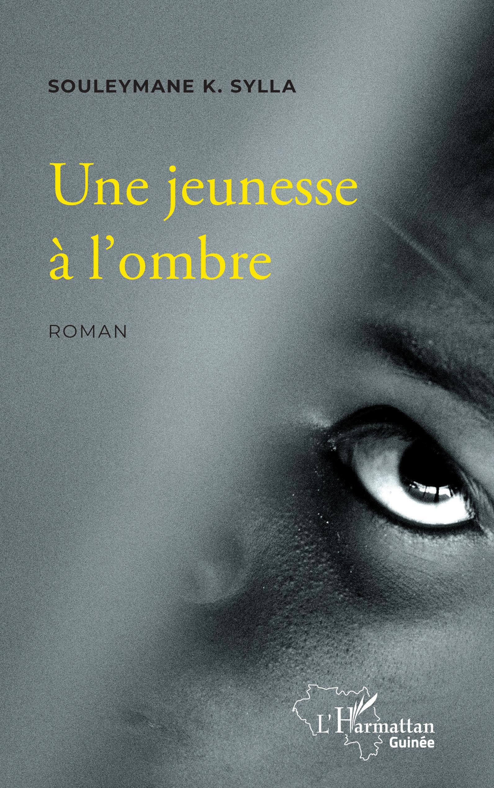 Une jeunesse à l'ombre, Roman (9782343212760-front-cover)