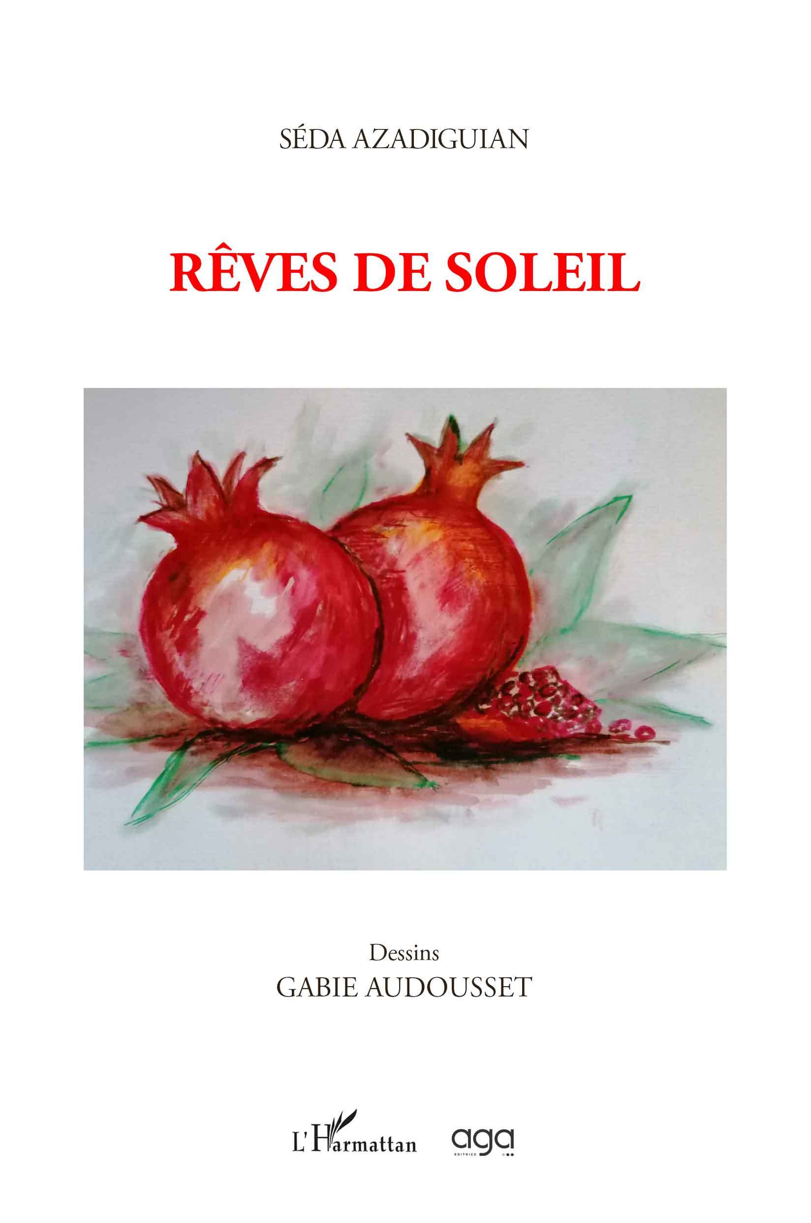 Rêves de soleil (9782343238463-front-cover)