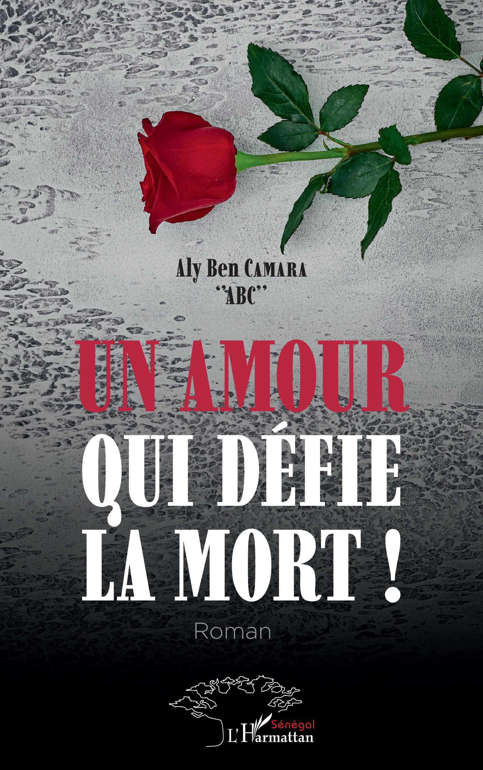 Un amour qui défie la mort ! Roman (9782343229874-front-cover)