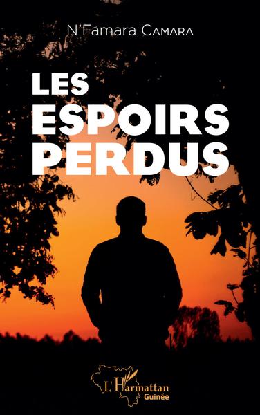 Les espoirs perdus (9782343247144-front-cover)