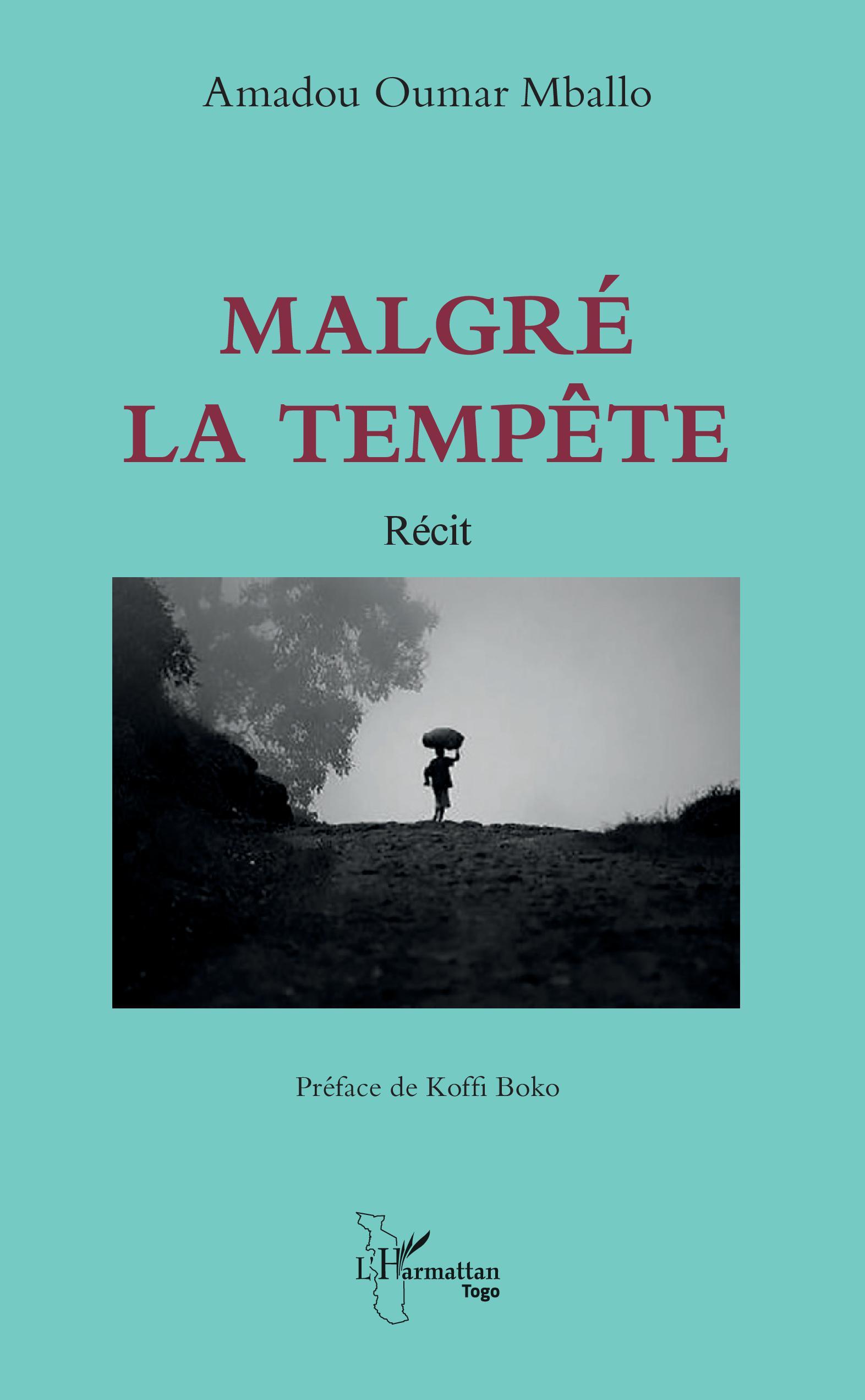 Malgré la tempête, Roman (9782343205649-front-cover)