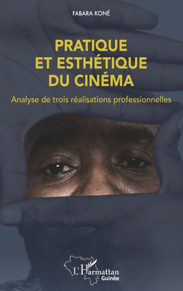 Pratique et esthétique du cinéma, Analyse de trois réalisations professionnelles (9782343254661-front-cover)