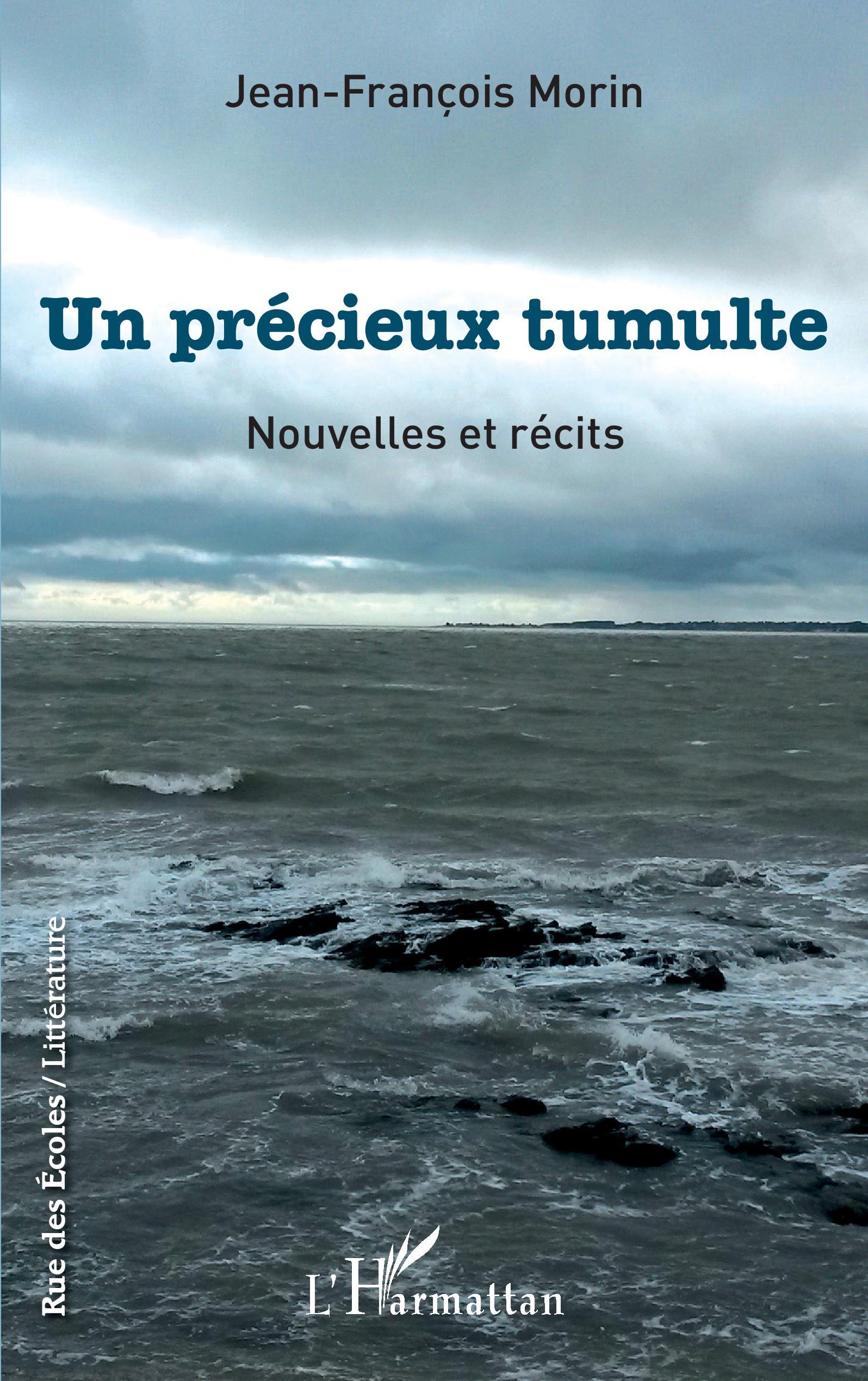 Un précieux tumulte, Nouvelles et récits (9782343238432-front-cover)