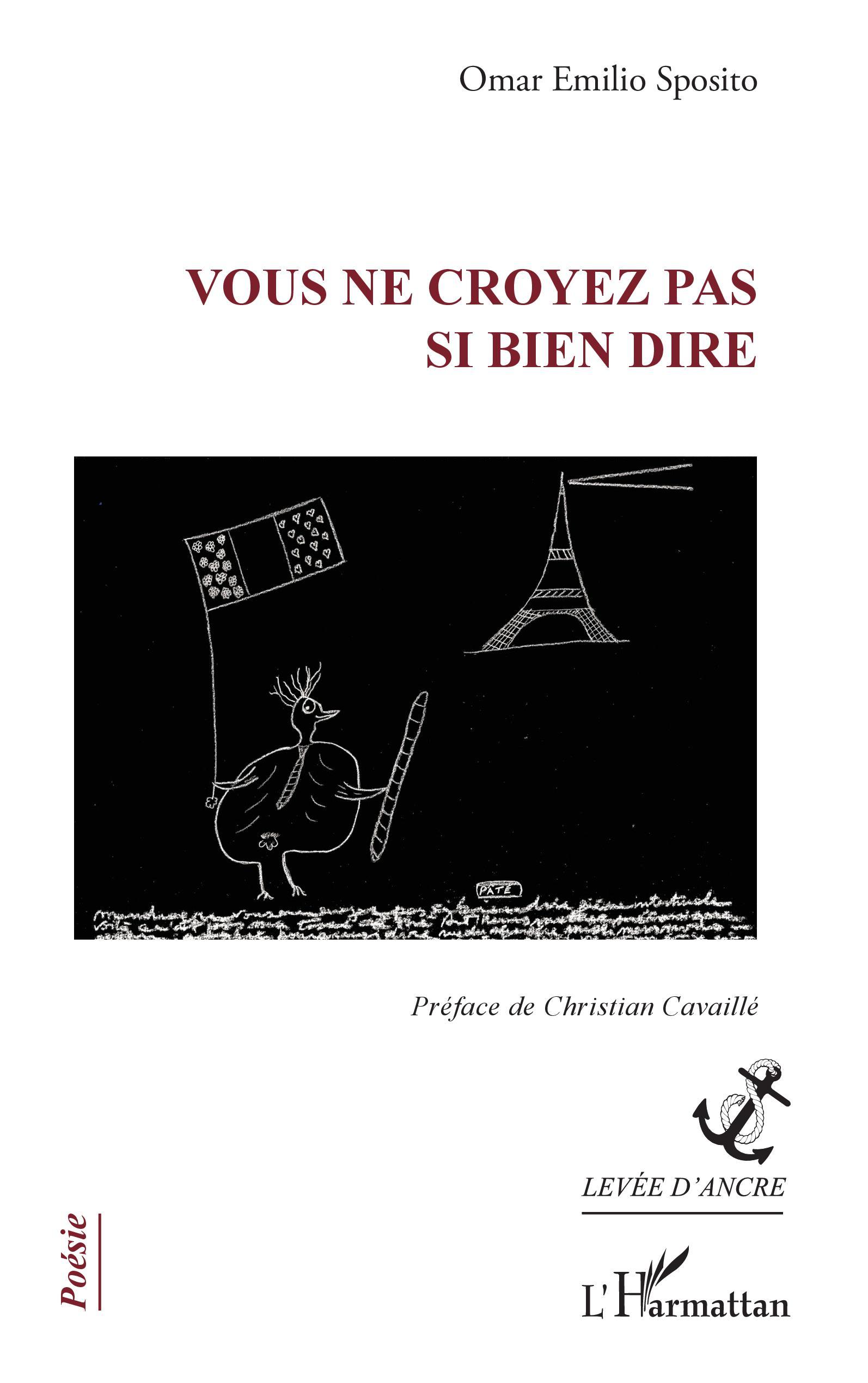 Vous ne croyez pas si bien dire (9782343225227-front-cover)