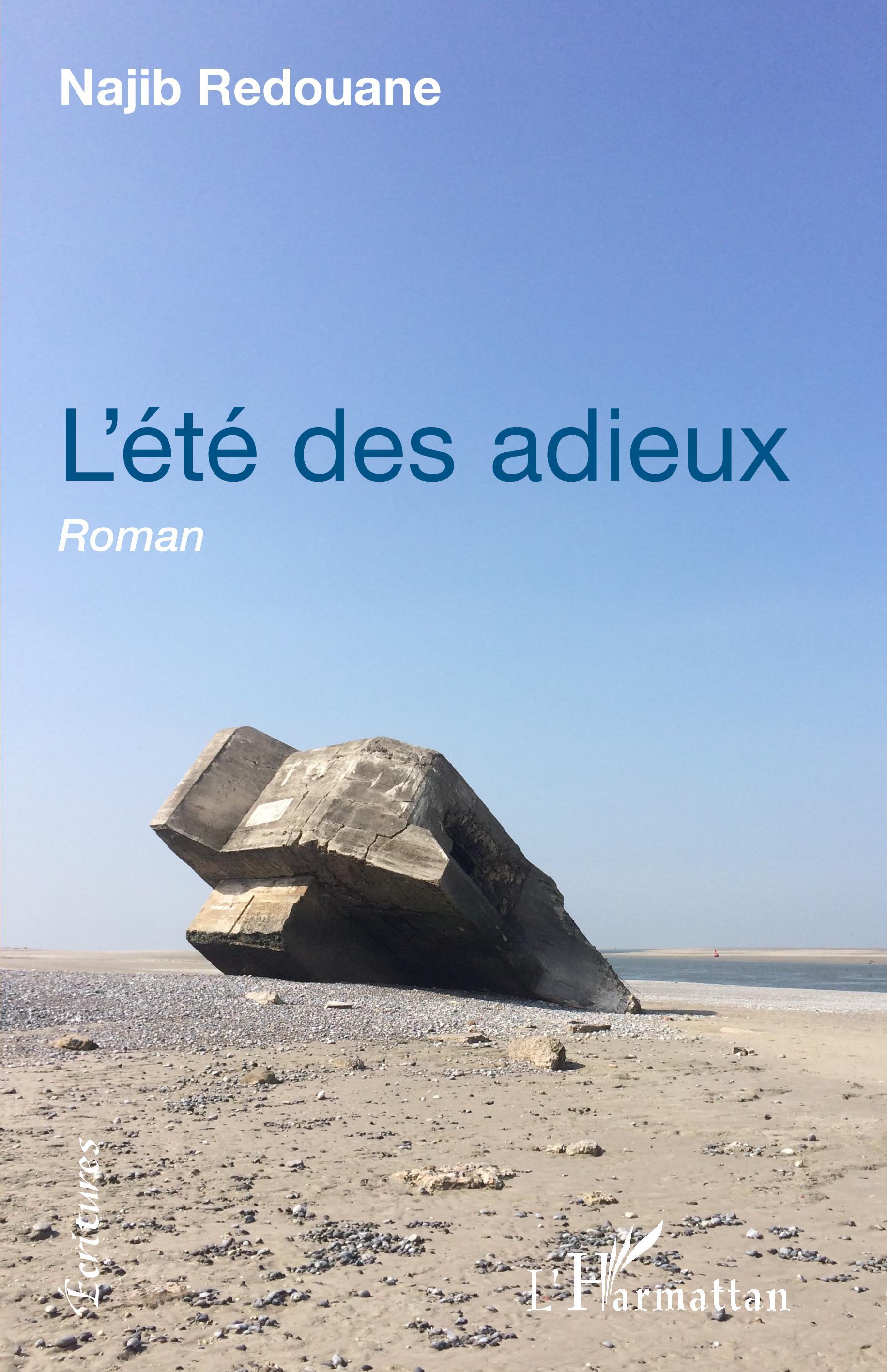 L'été des adieux (9782343228716-front-cover)