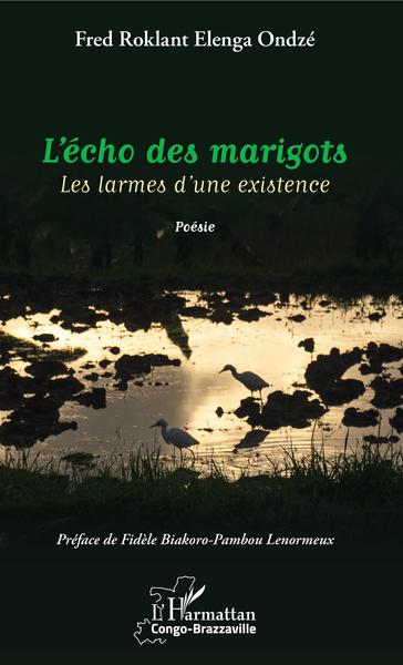 L'écho des marigots, Les larmes d'une existence (9782343213095-front-cover)
