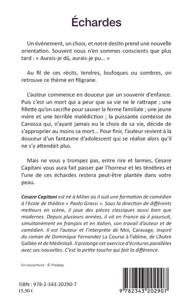 Echardes, Nouvelles en désordre (9782343202907-back-cover)