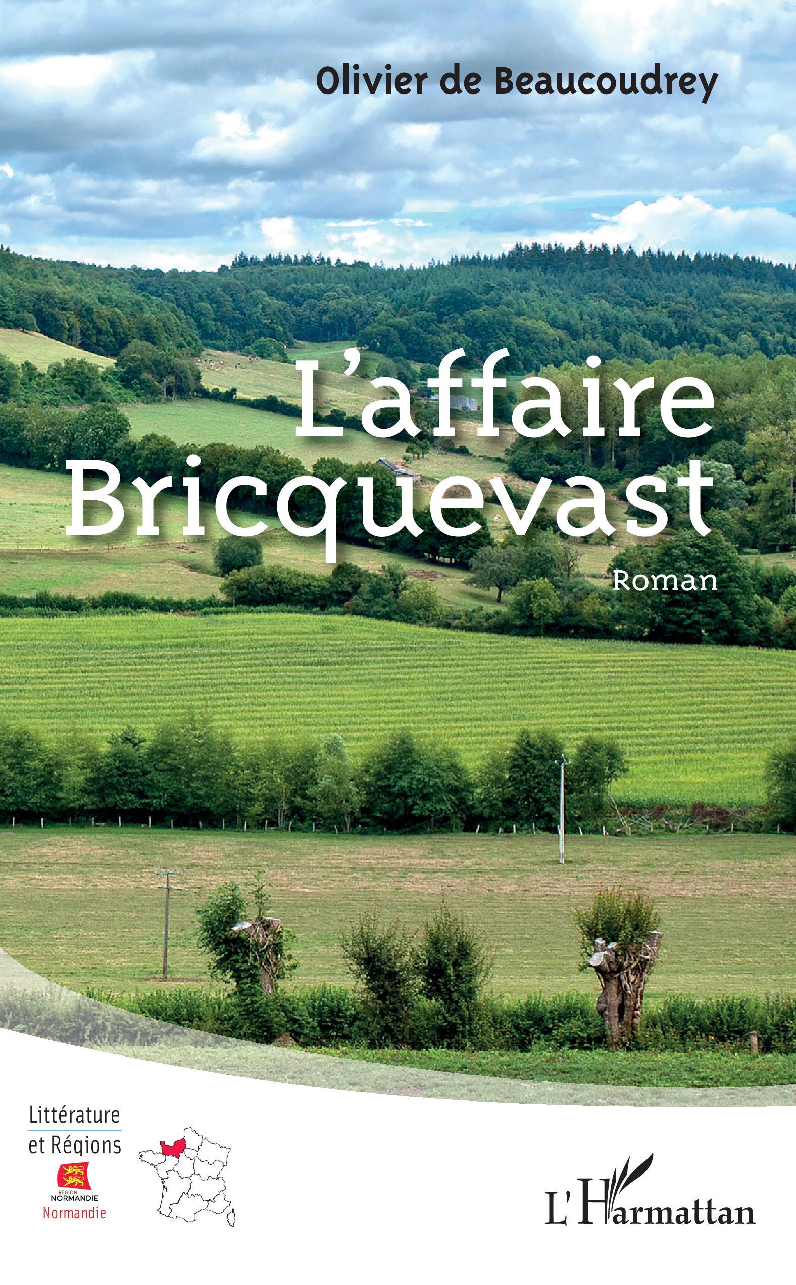 L'affaire Bricquevast, Roman (9782343206905-front-cover)