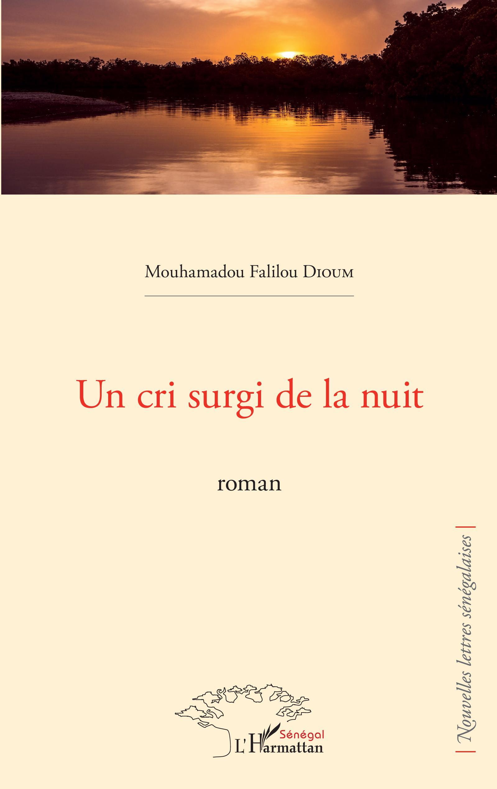 Un cri surgi de la nuit. Roman (9782343222165-front-cover)