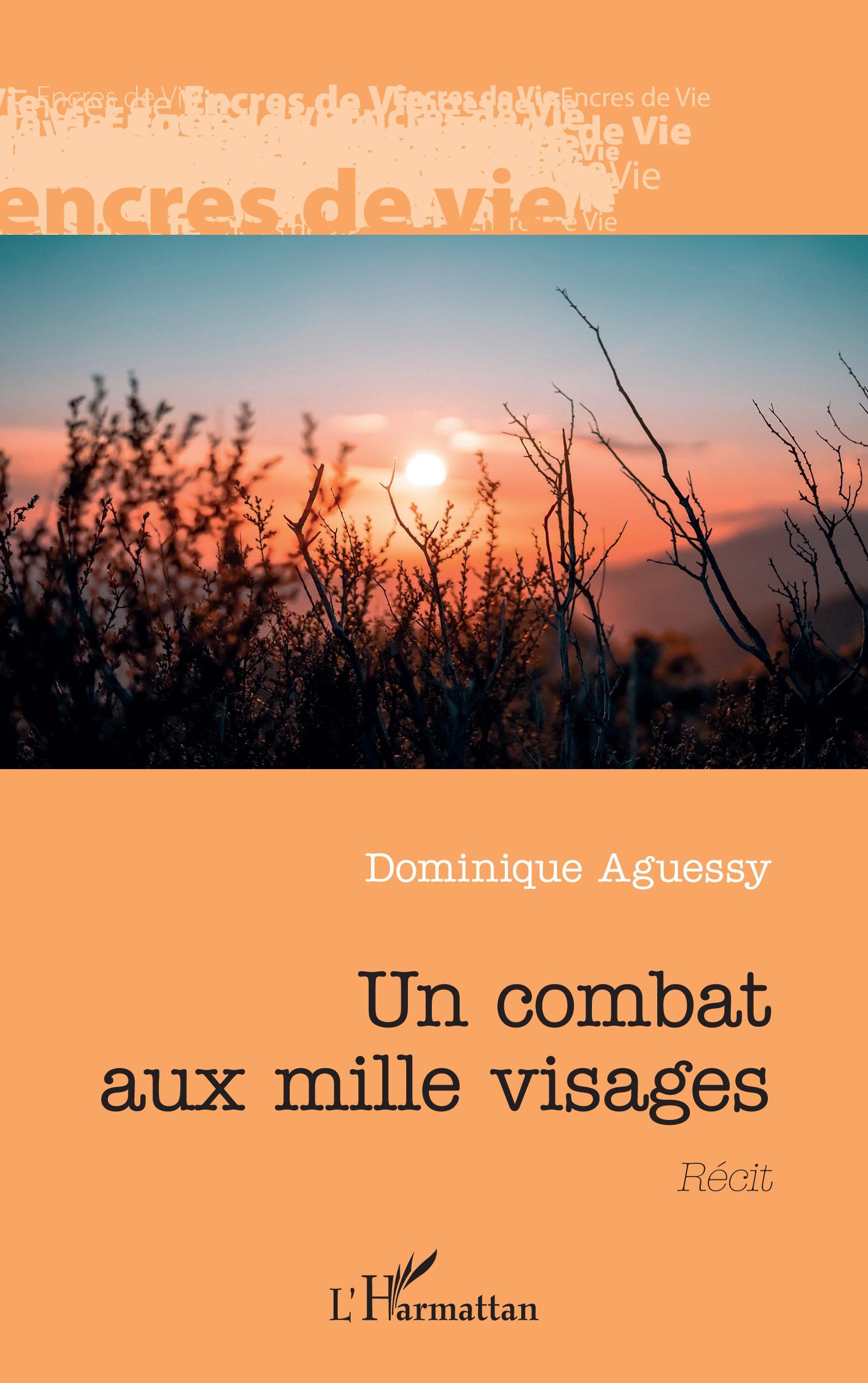 Un combat aux mille visages (9782343235509-front-cover)